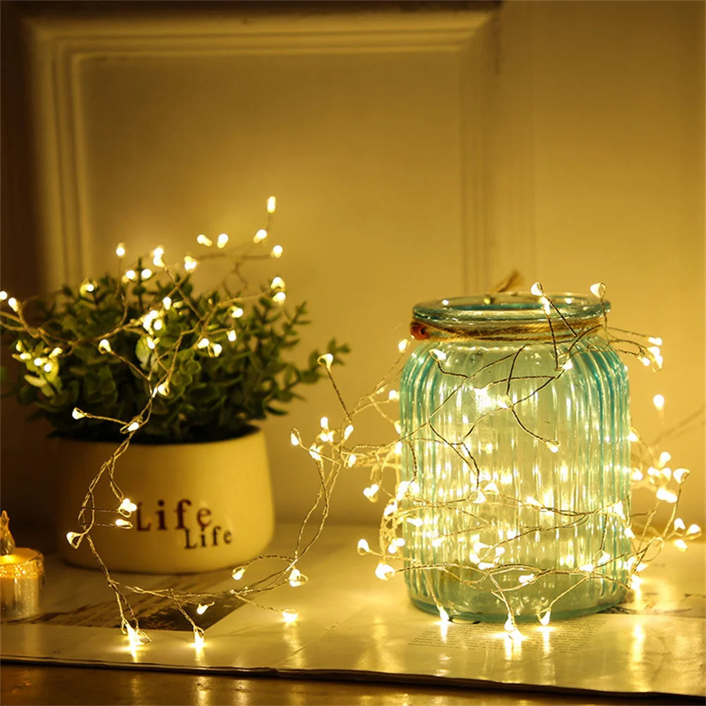 β¨ 3M/9M/12M Standard LED Christmas Garland Light β Starry Cluster Light with Remote, USB Powered π