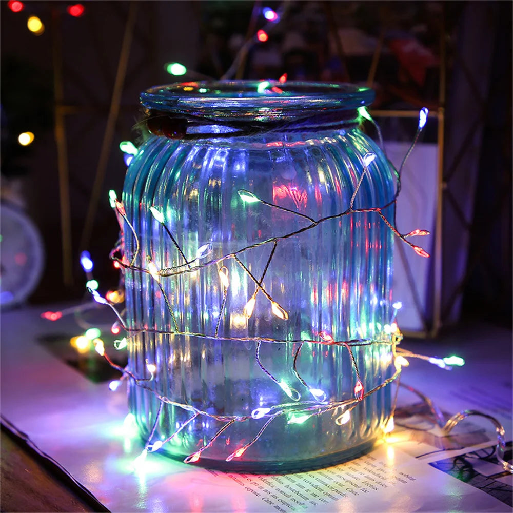 β¨ 3M/9M/12M Standard LED Christmas Garland Light β Starry Cluster Light with Remote, USB Powered π